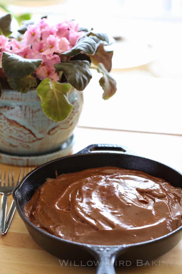 Abuelita Chocolate Pudding Cake