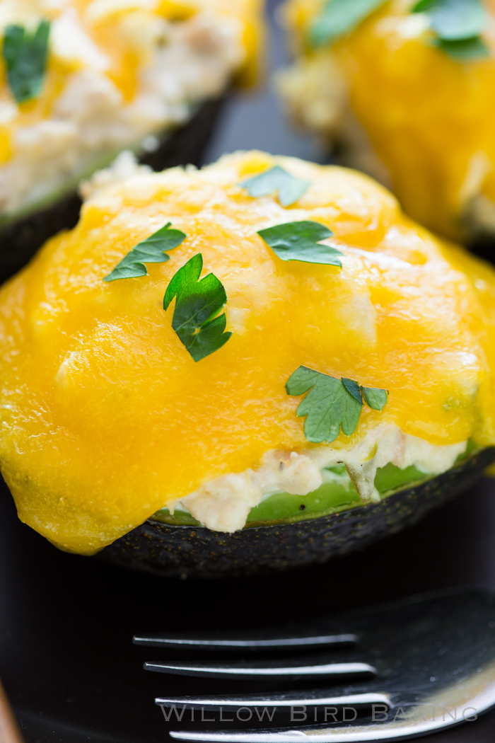 Tuna Melts in Avocado Boats