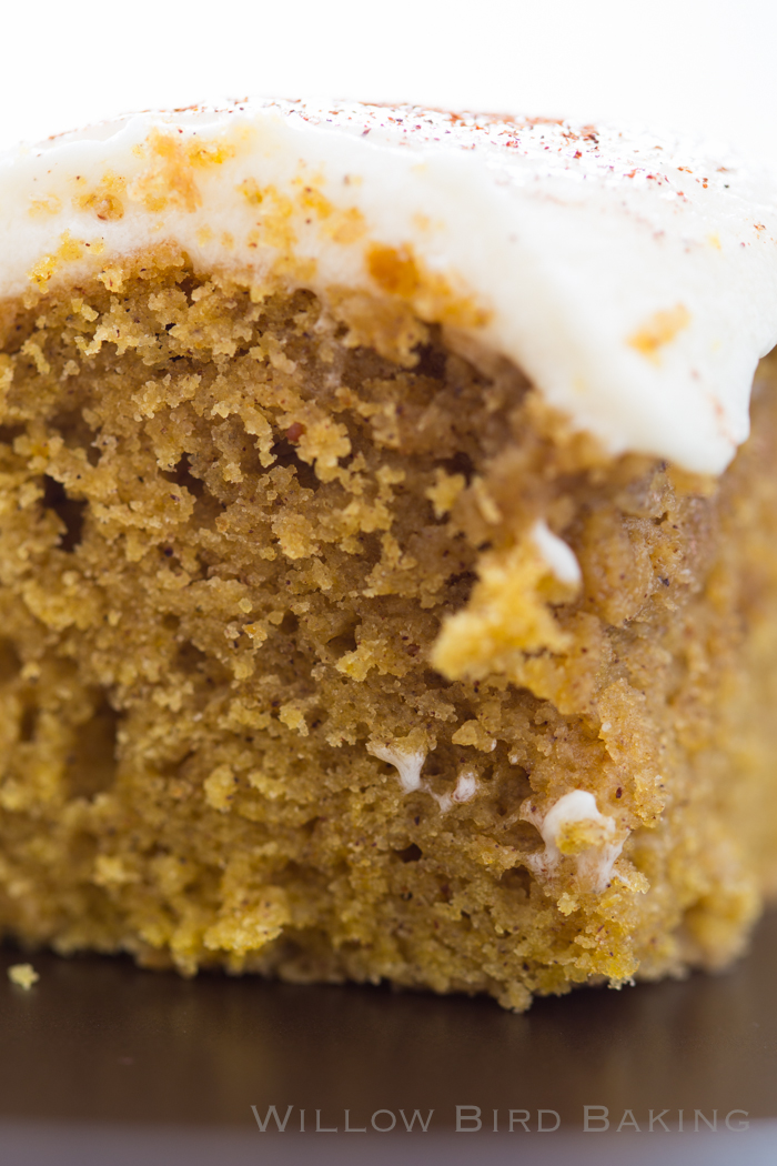 Brown Butter Pumpkin Cake with Whipped Icing