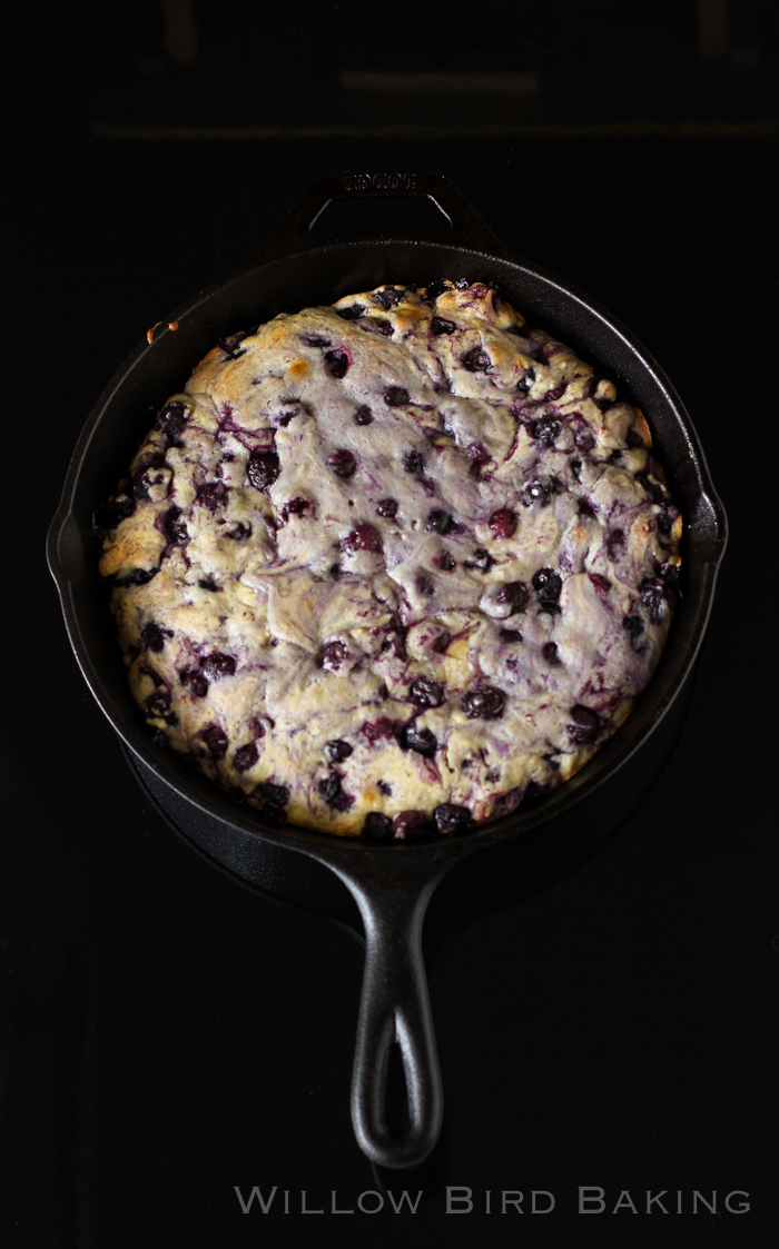 Hot Blueberry Cake with Vanilla Ice Cream - Willow Bird Baking