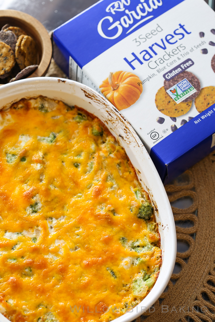 Creamy Broccoli Cheese Dip