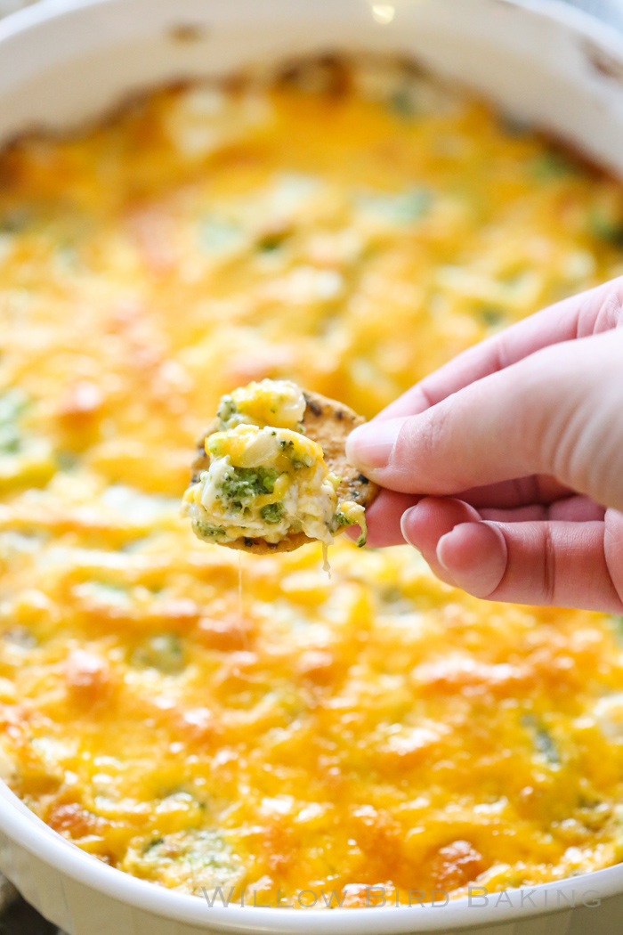 Creamy Broccoli Cheese Dip