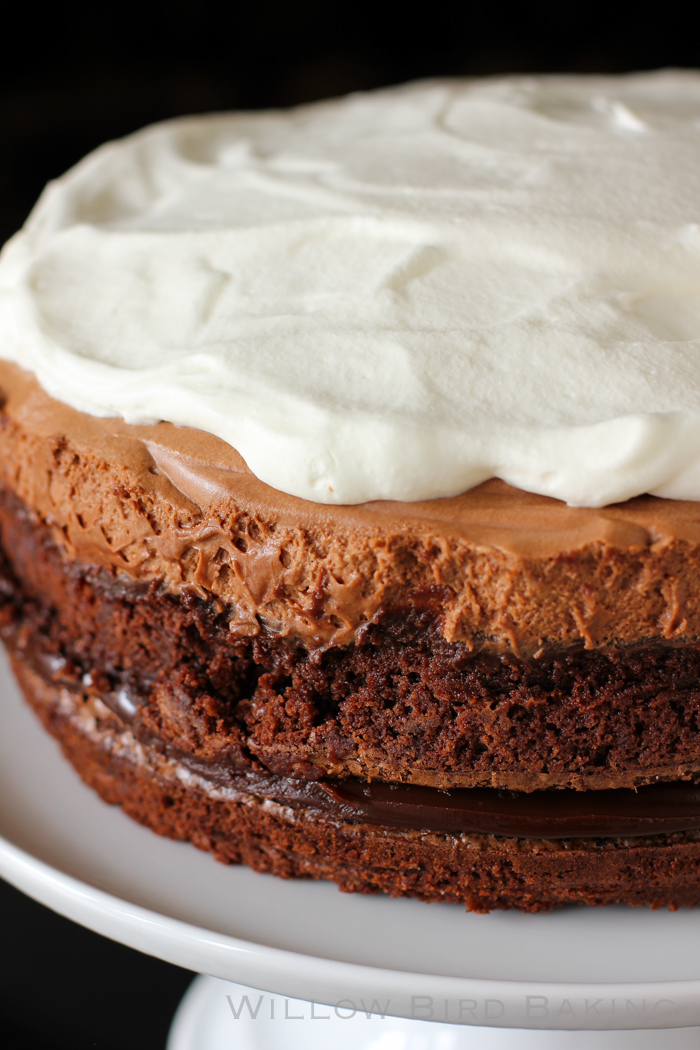 Brownie Blackout Mousse Cake