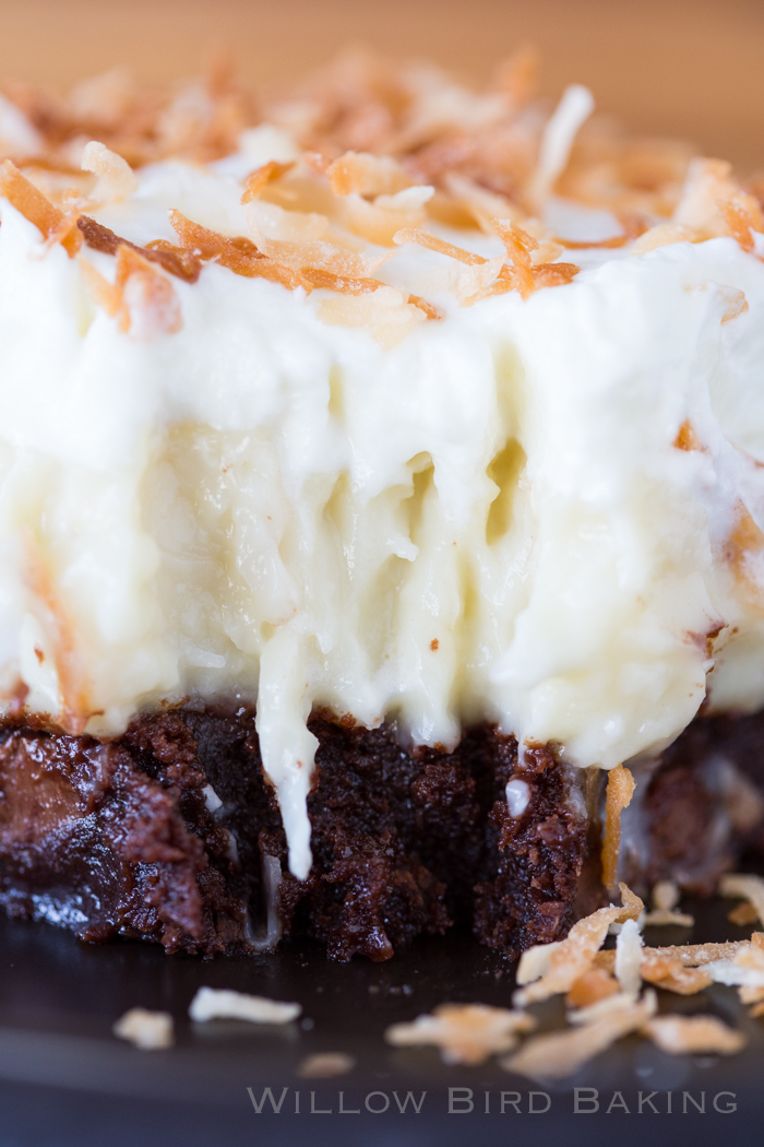 Willow Bird Baking's Best Recipes of 2016: COCONUT CREAM BROWNIES