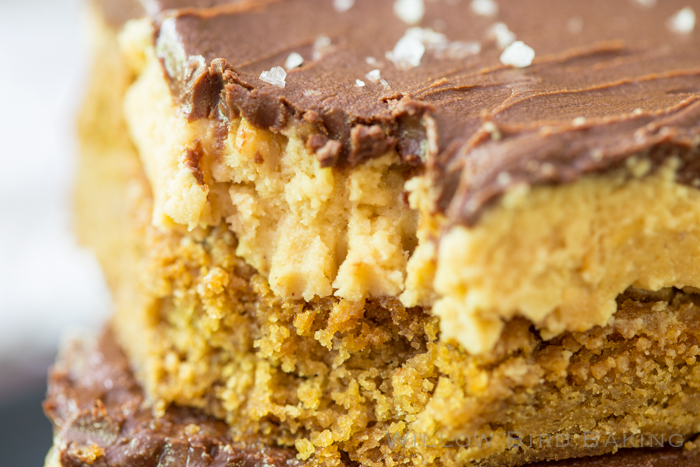 Buckeye Peanut Butter Cookie Bars