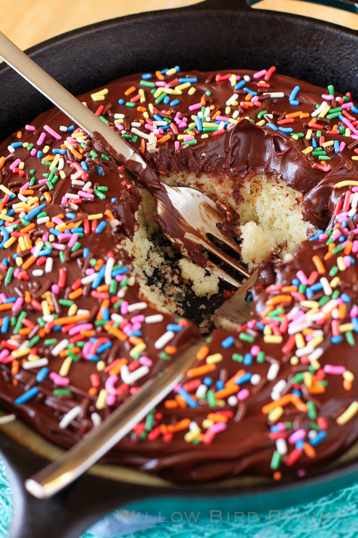 Chocolate Doughnut Cake