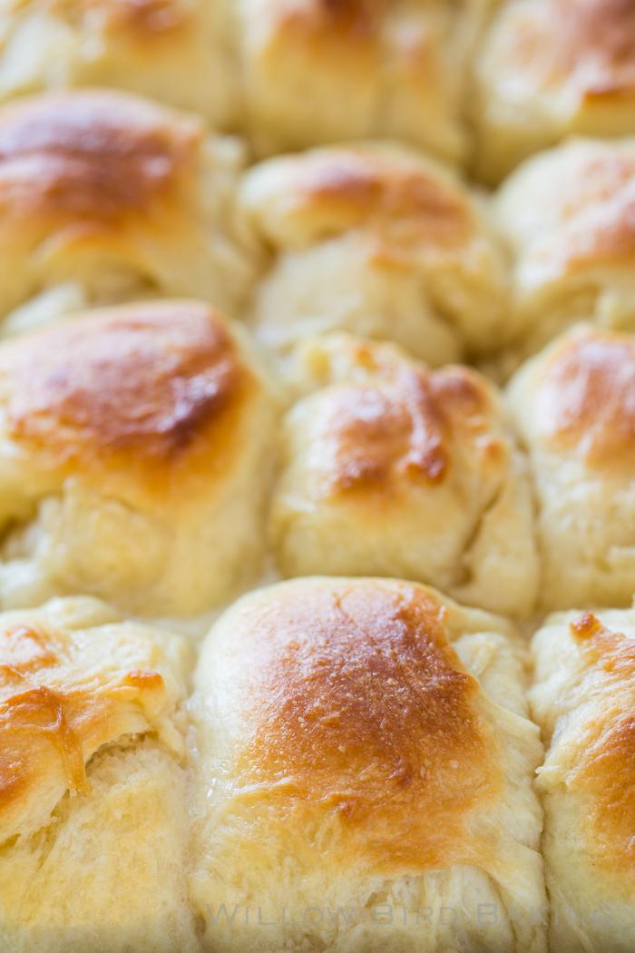 The Best Easy Yeast Rolls