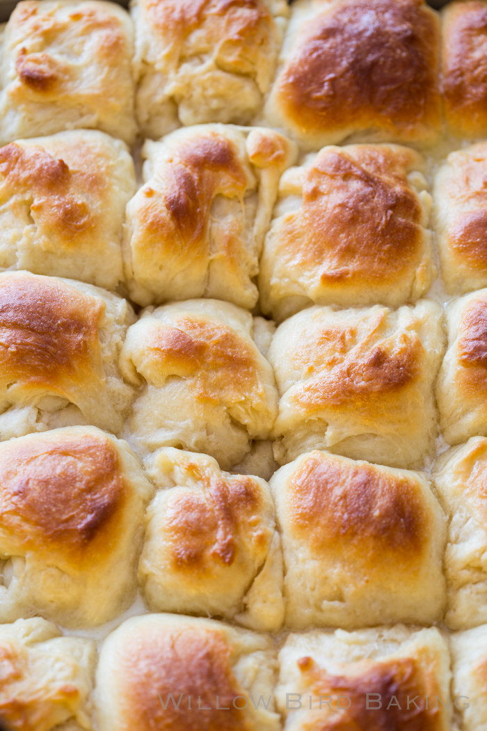 Willow Bird Baking's Best Recipes of 2018: EASY YEAST ROLLS YOU MUST TRY