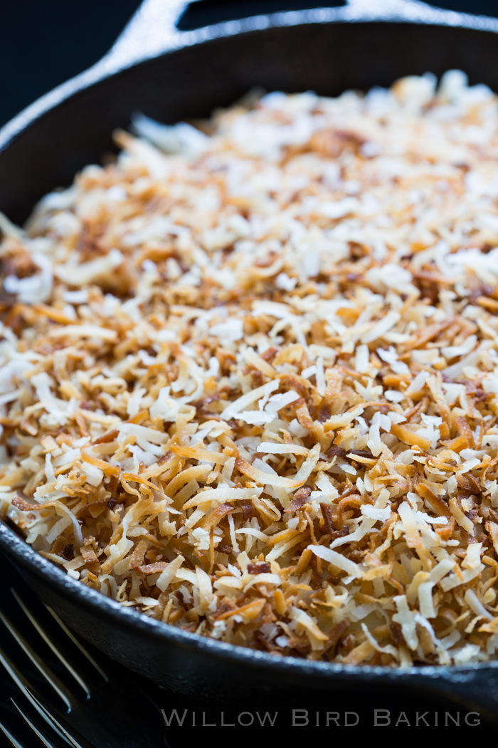 Hot Toasted Coconut Cake