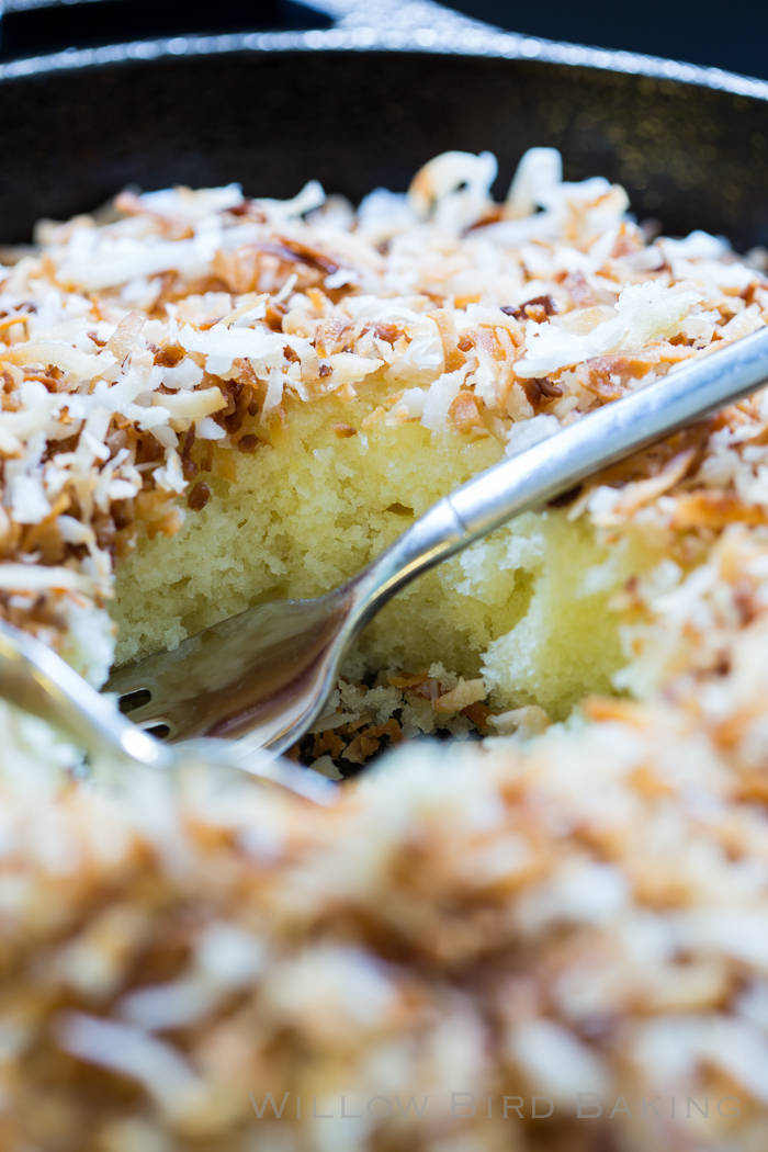 Hot Toasted Coconut Cake - Willow Bird Baking