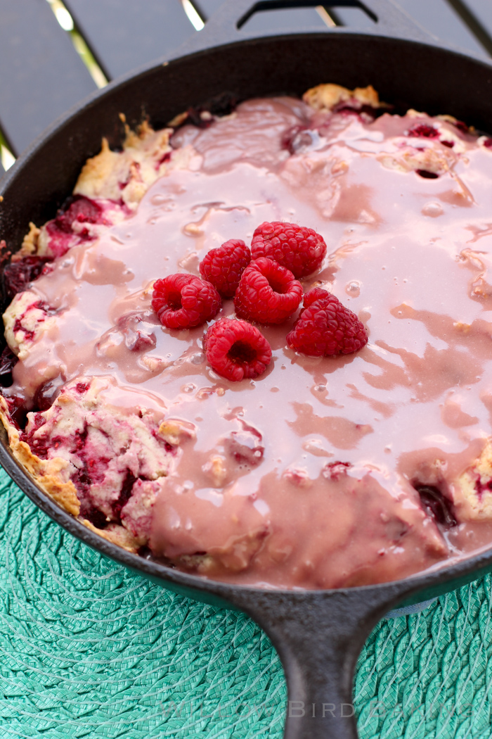 Hot Raspberry Cake with Vanilla Ice Cream