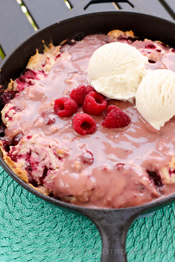 Hot Raspberry Cake with Vanilla Ice Cream - Willow Bird Baking