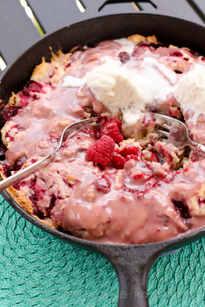 Hot Raspberry Cake with Vanilla Ice Cream