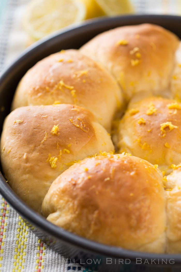 Lemon Cheesecake Biscuit Bombs