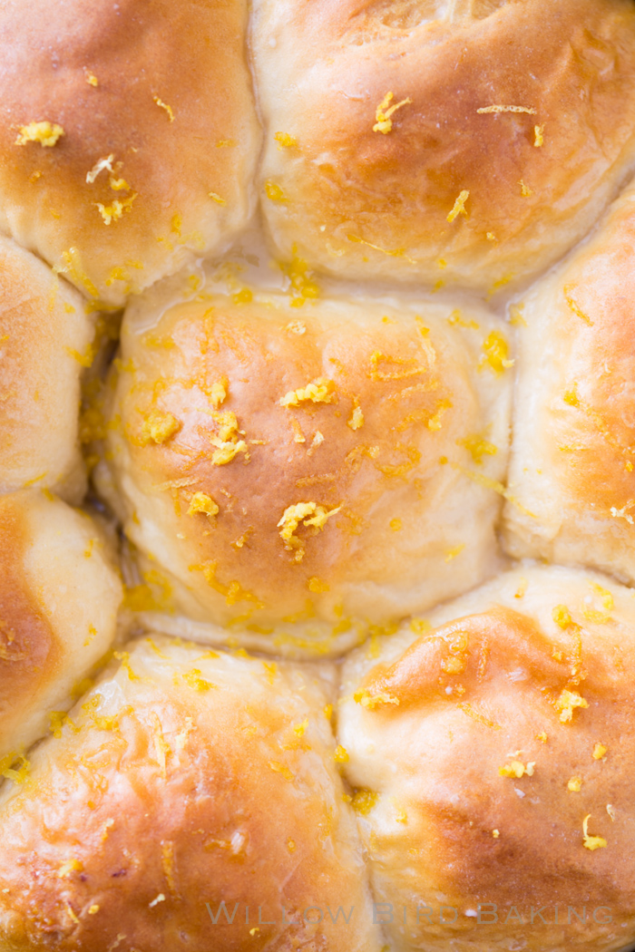 LEMON CHEESECAKE BISCUIT BOMBS