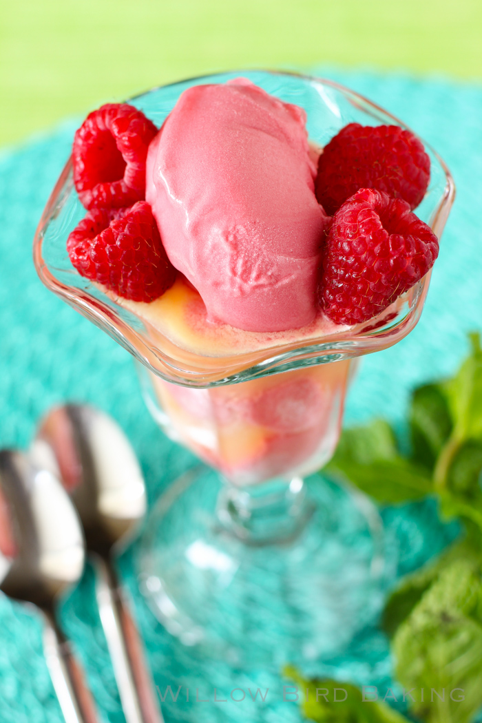 Raspberry Sorbet Mimosa Float - Willow Bird Baking