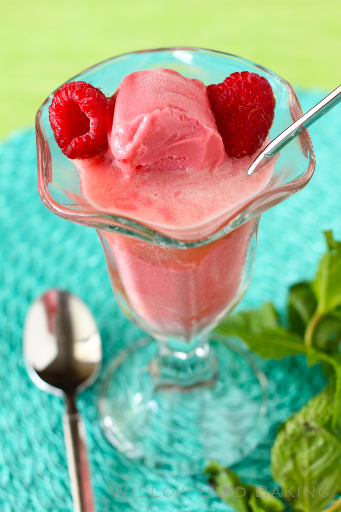 Raspberry Sorbet Mimosa Float