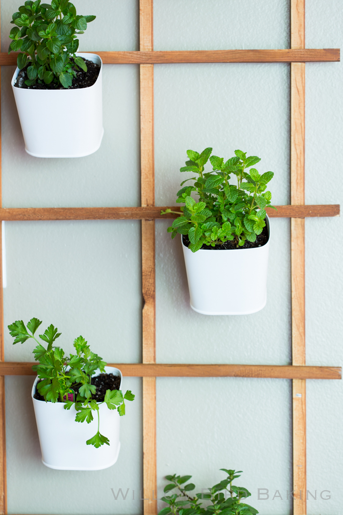 How to Create a Cute Edible Garden in a Tiny Studio Apartment
