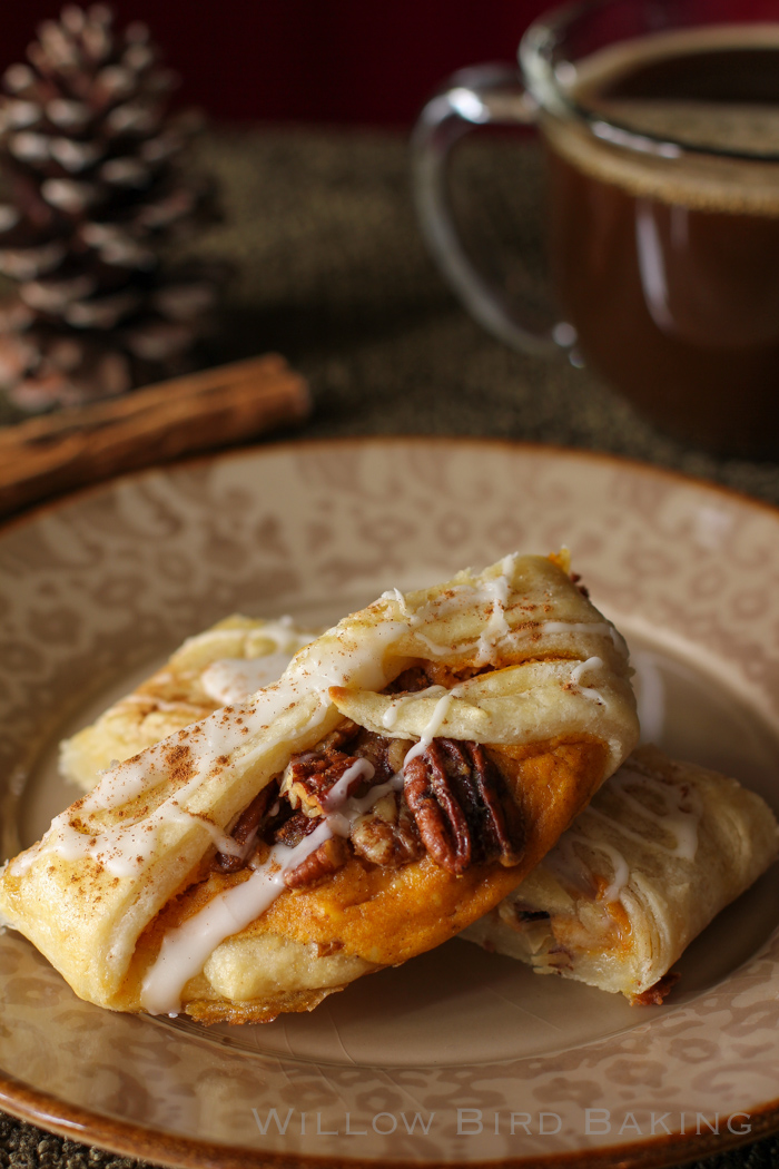 Pumpkin and Pecan Pie Pastry Braid