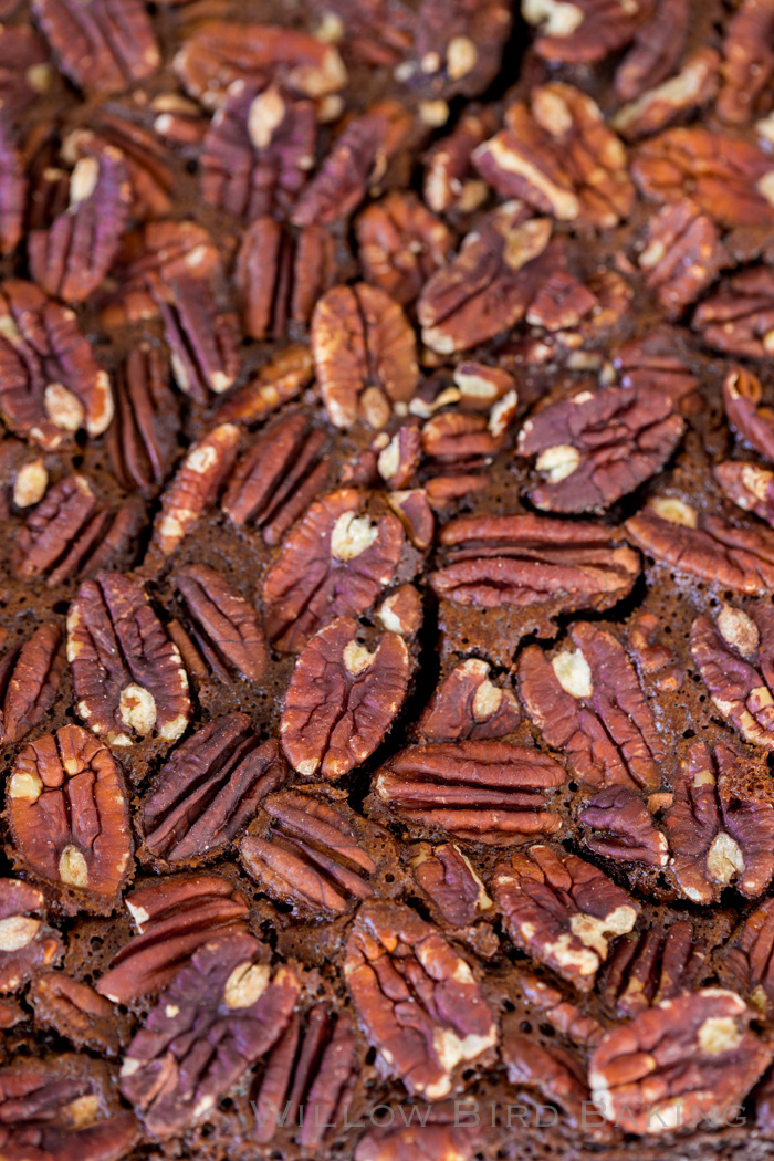 Boozy Chocolate Pecan Pie Bars