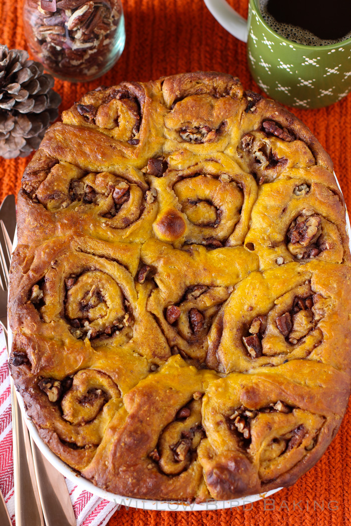 Pumpkin Maple Pecan Rolls (with Pumpkin Cream Cheese Icing!)