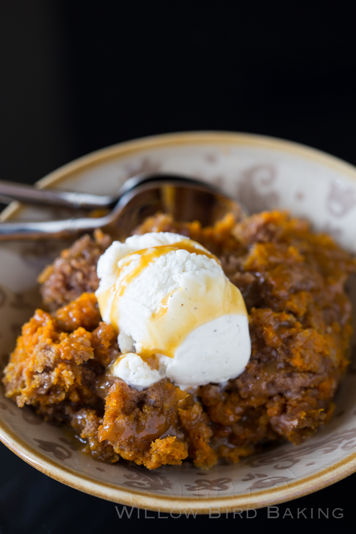 3 Ingredient Slow Cooker Pumpkin Cake Willow Bird Baking 