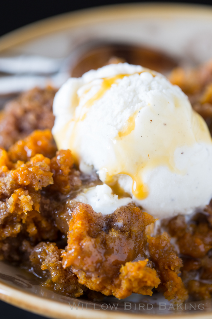 3 Ingredient Slow Cooker Pumpkin Cake Willow Bird Baking