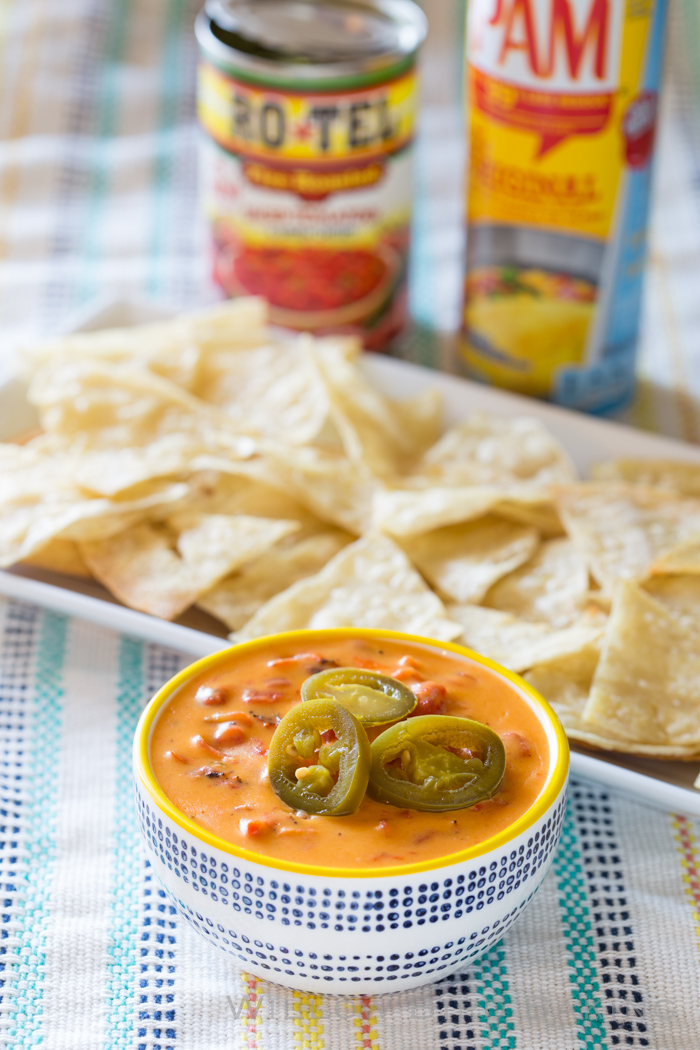 Homemade Chips and Queso Willow Bird Baking