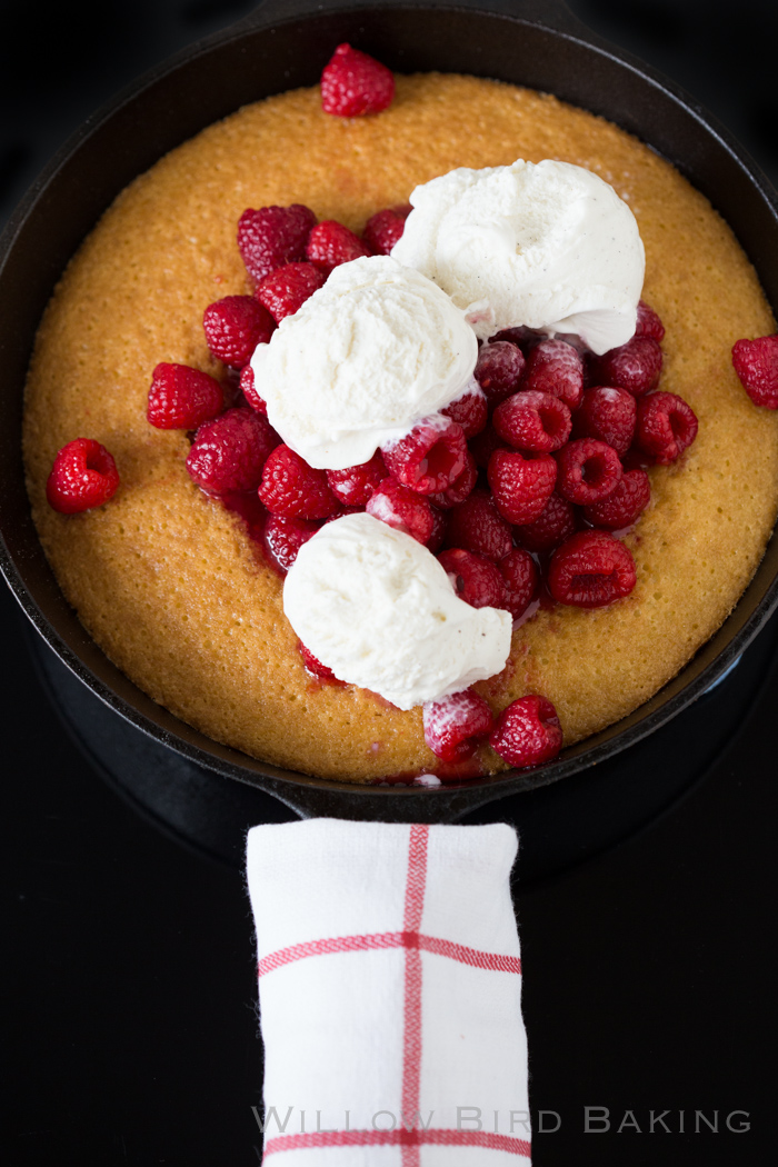 Hot Raspberry Cake and Ice Cream