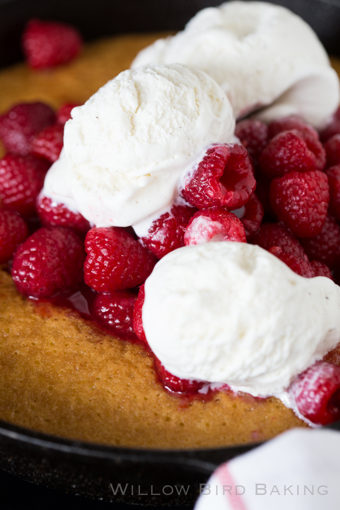 Hot Raspberry Cake and Ice Cream