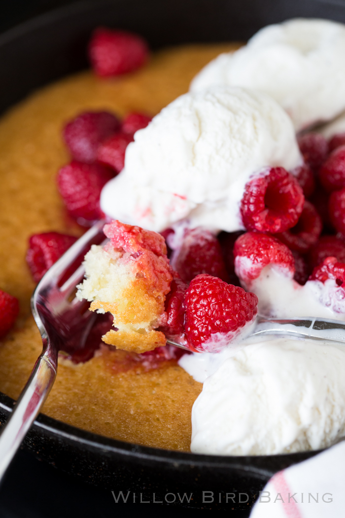 Hot Raspberry Cake and Ice Cream