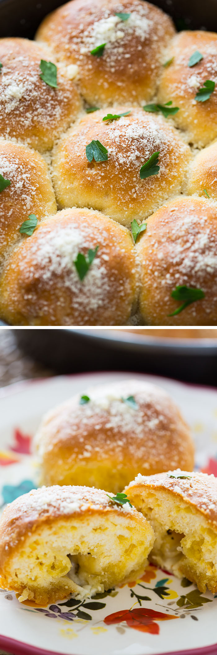 Cheesy Garlic Biscuit Bombs - Willow Bird Baking