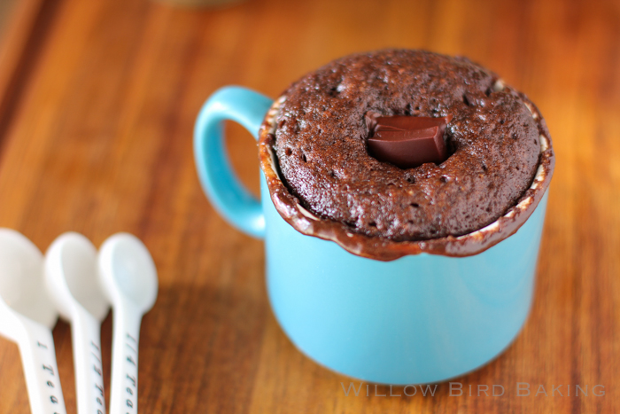 The Ultimate Gooey Caramel Brownie Mug Cake Sundae - Willow Bird