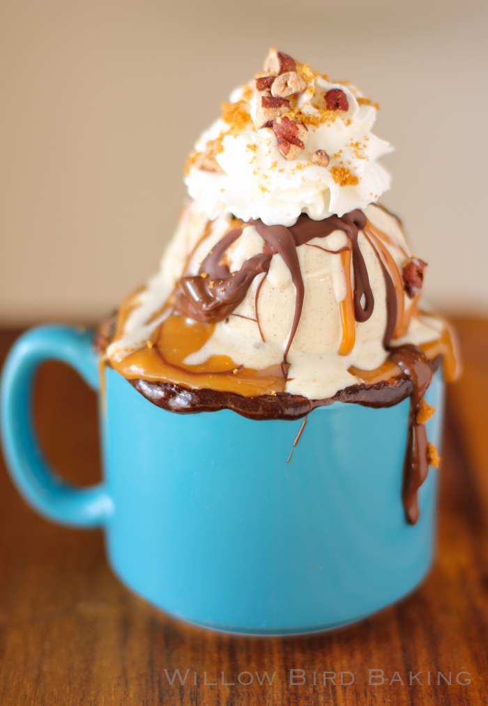 The Ultimate Gooey Caramel Brownie Mug Cake Sundae - Willow Bird