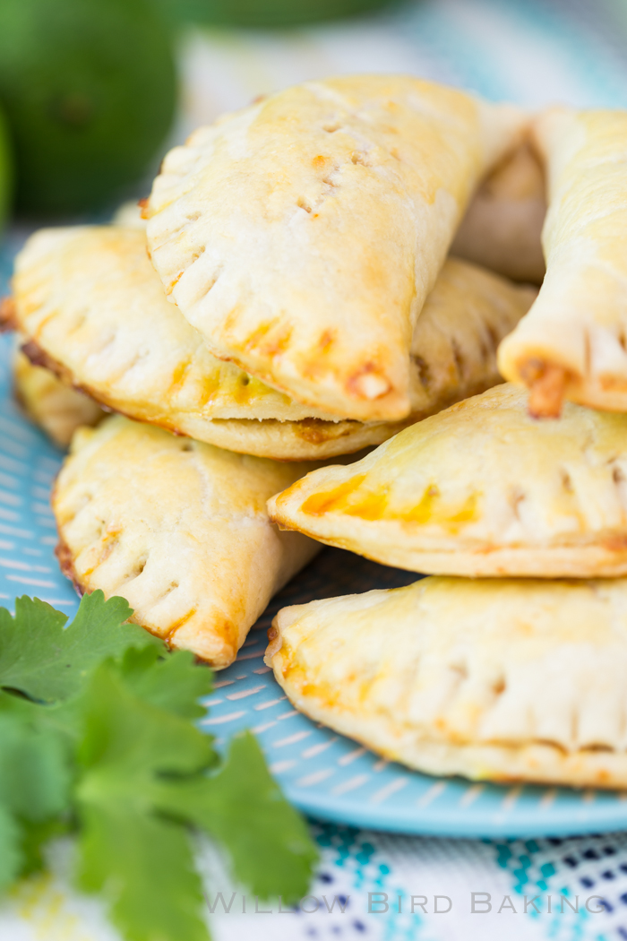 Quick & Easy Vegetarian Taco Pockets